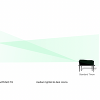 SPECTRUM - ELEKTRISCHE LEINWÄNDE MET EEN MAXWHITE SCHERM VOOR STANDAARD PROJECTOREN