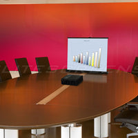 PICO - DRAAGBAAR LEINWÄNDE