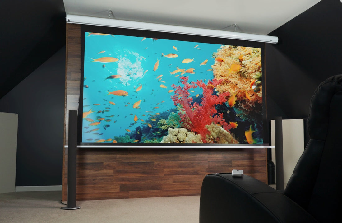 Beamer Leinwand vs. TV: Wat is de beste optie voor uw huis?